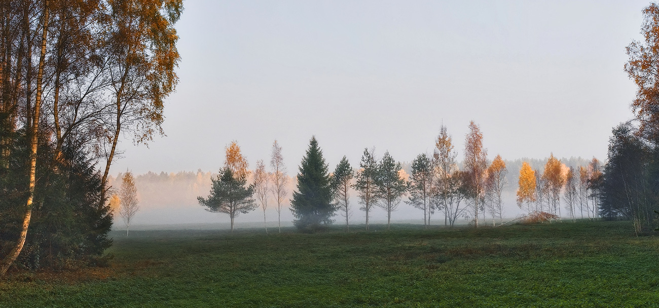 photo "Meadow in fog" tags: , 