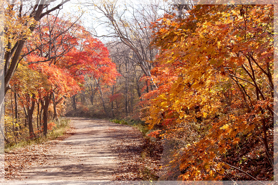 photo "***" tags: landscape, autumn, краски.