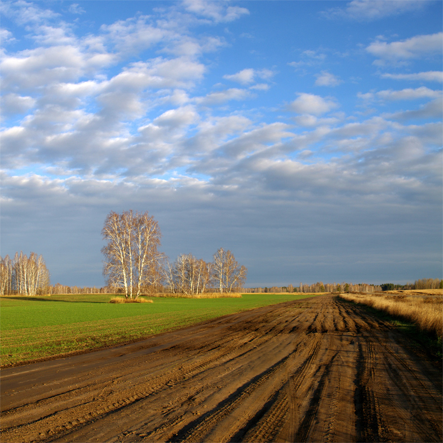 photo "The edge of the field." tags: landscape, autumn, field, road