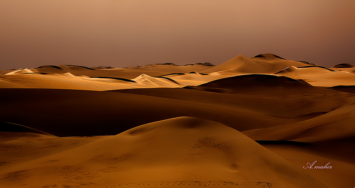 фото "SAND DUNES IN EARLY MORNING" метки: пейзаж, desert