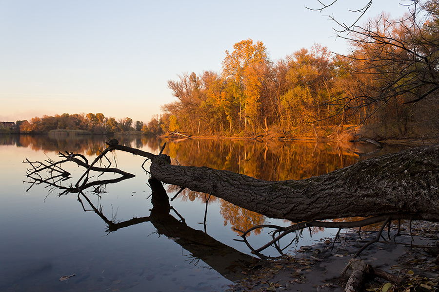 photo "***" tags: landscape, Dnieper, Ukraine, autumn, gulf, Запорожье, октябрь