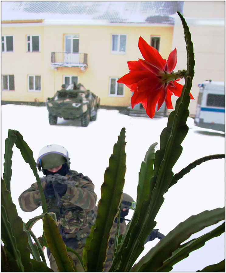 фото "Шли учения" метки: репортаж, БТР, ОМОН, кактус