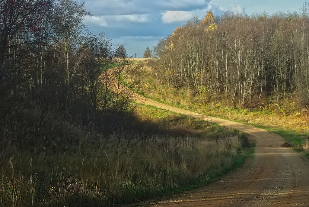 photo "S" tags: landscape, nature, autumn, road