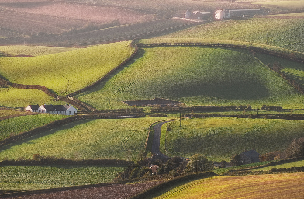 photo "Irish farmland" tags: landscape, 