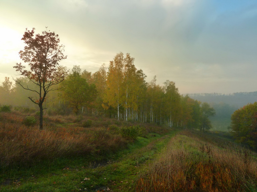 фото "унылая пора-очей очарованье.." метки: пейзаж, природа, путешествия, Украина, дерево, осень