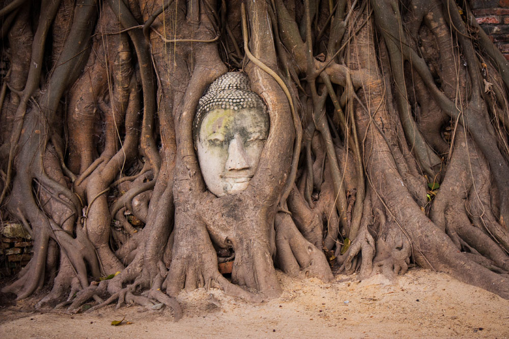 photo "***" tags: travel, nature, macro and close-up, Будда, путешествие