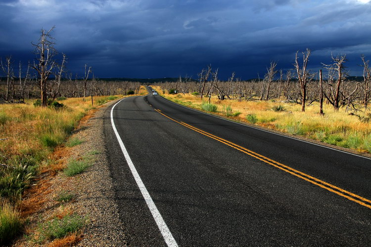 фото "Mesa Verde" метки: пейзаж, путешествия, природа, 