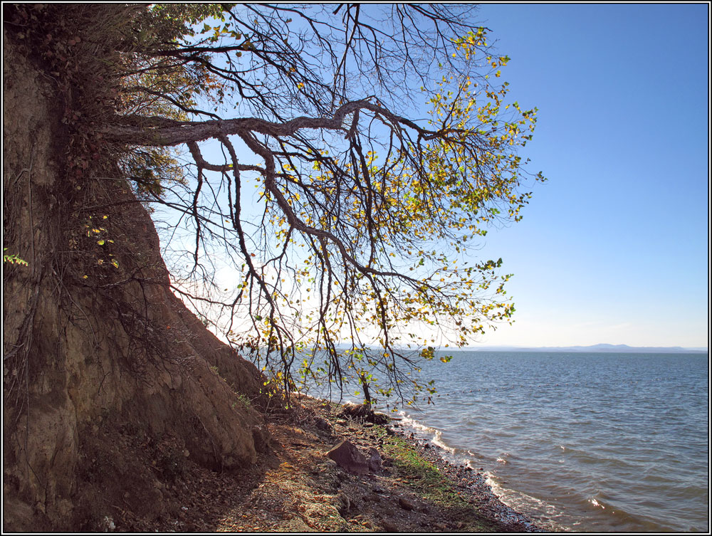 photo "***" tags: landscape, autumn, forest, sea, краски