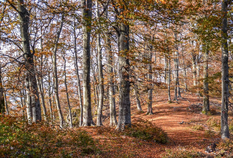 photo "***" tags: landscape, 