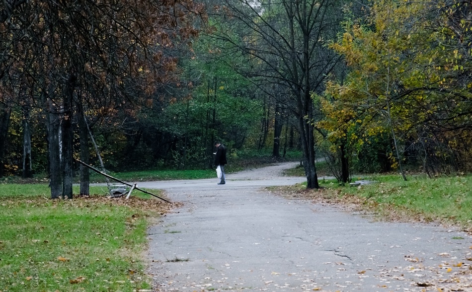 photo "***" tags: misc., nature, park, перекрёсток