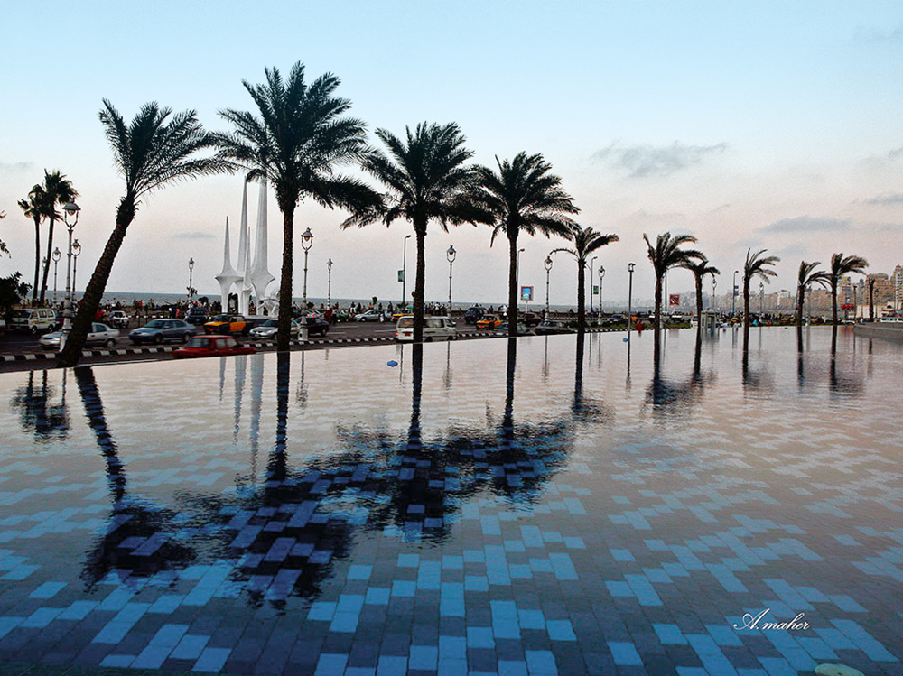 photo "ALEXANDRIA" tags: landscape, 