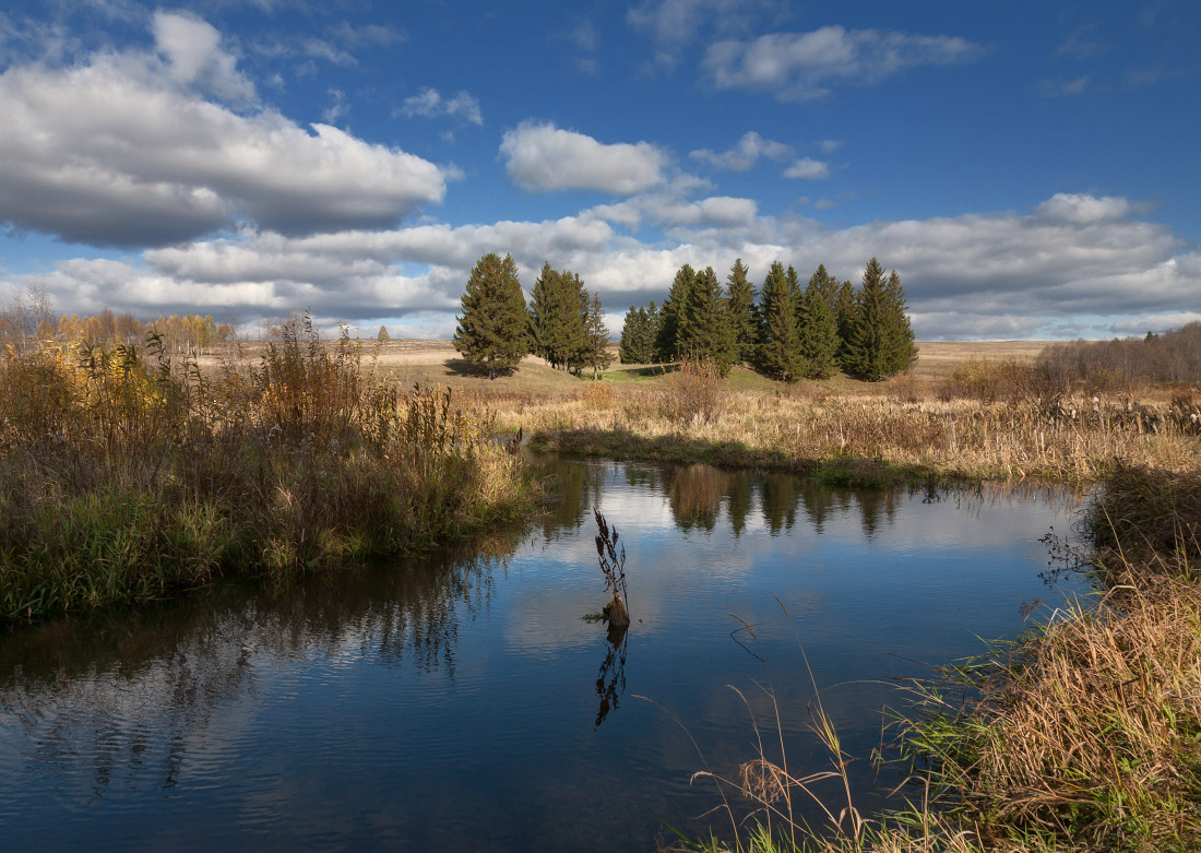 photo "***" tags: landscape, autumn, clouds, grass, reflections, Речка, елки