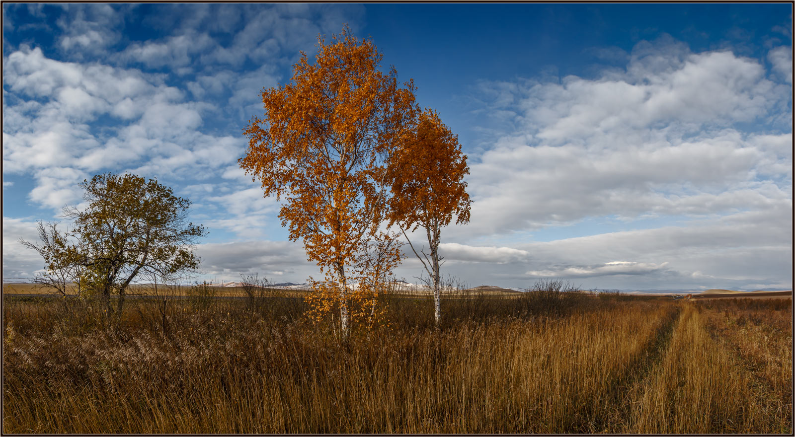 photo "***" tags: nature, landscape, 