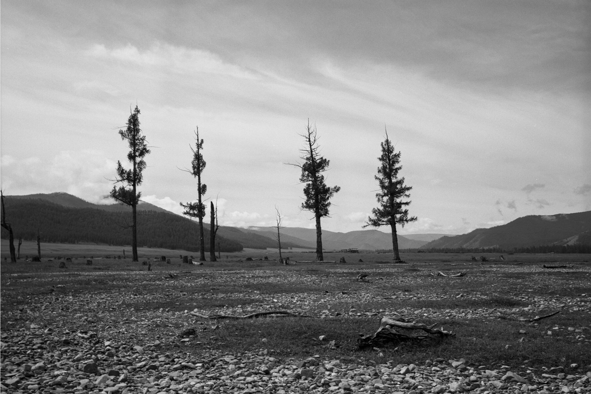 фото "Монголия-Прихубсугулье" метки: пейзаж, черно-белые, 