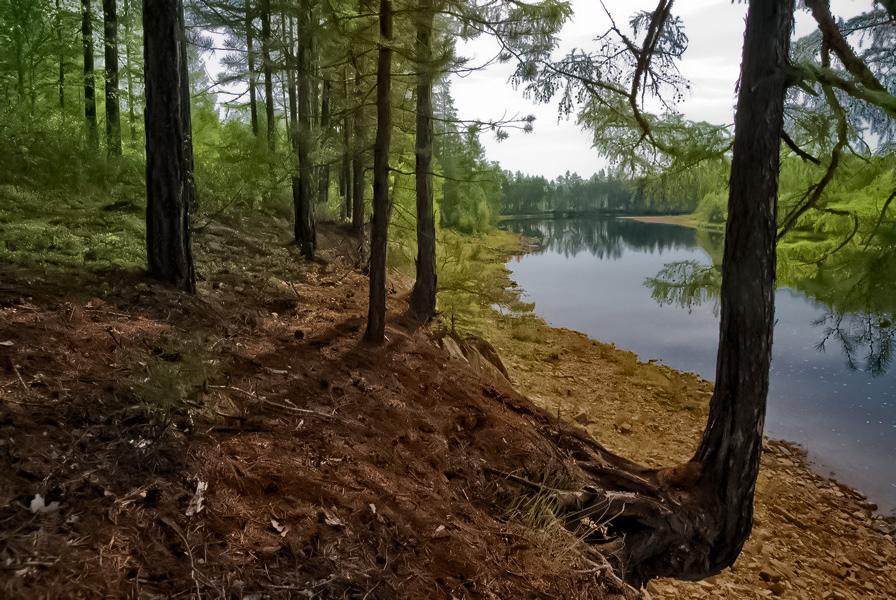 photo "***" tags: landscape, forest, summer, water