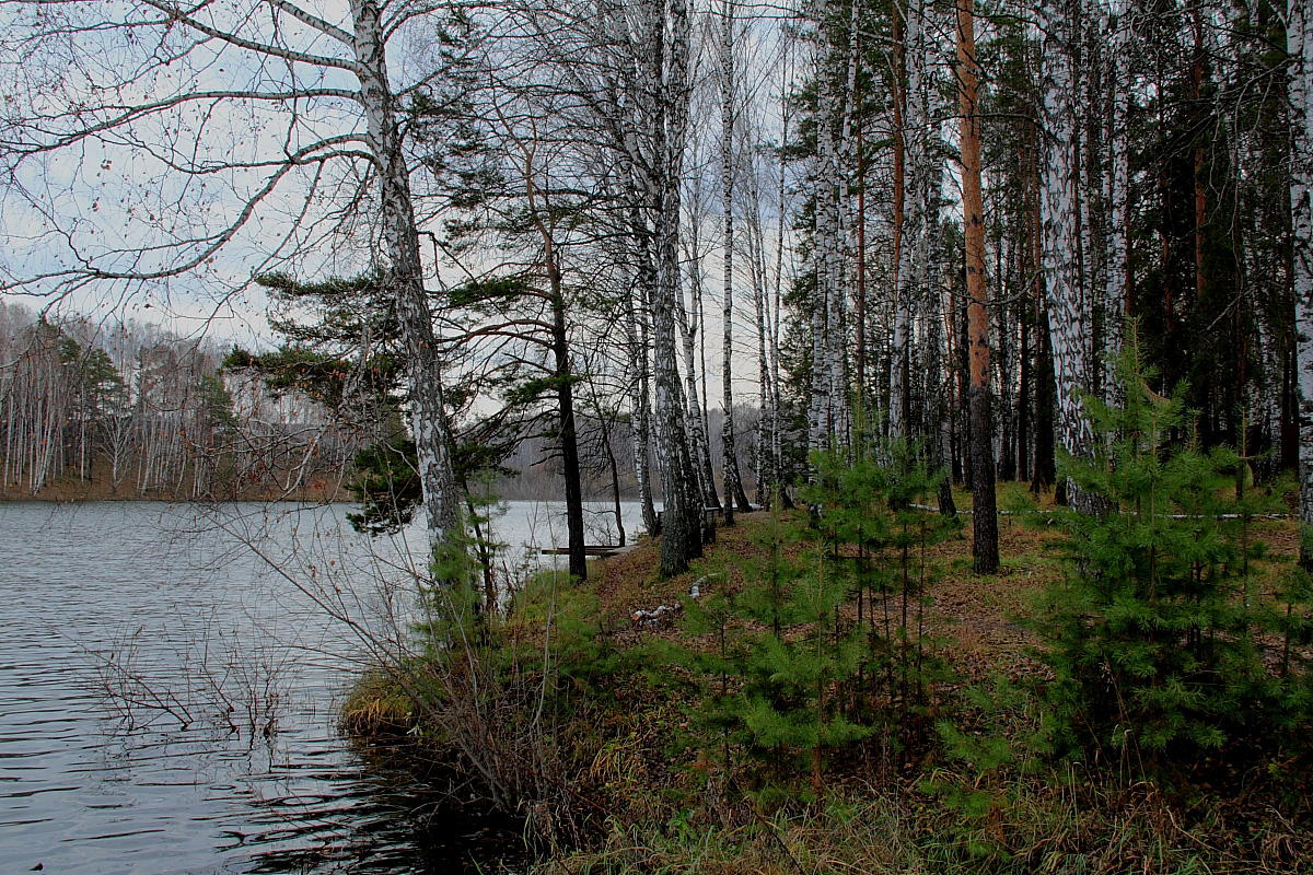 photo "***" tags: landscape, coast, forest, water, желтый лист