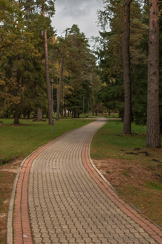 photo "***" tags: landscape, autumn, деревья