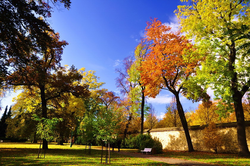 photo "Oсень" tags: nature, Prag, Prague, Praha