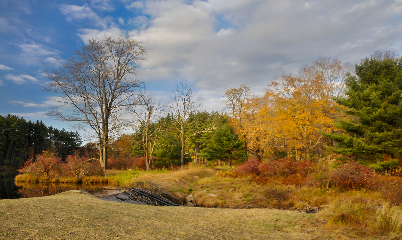 photo "* * *" tags: landscape, Harriman State Park, autumn, foliage, forest