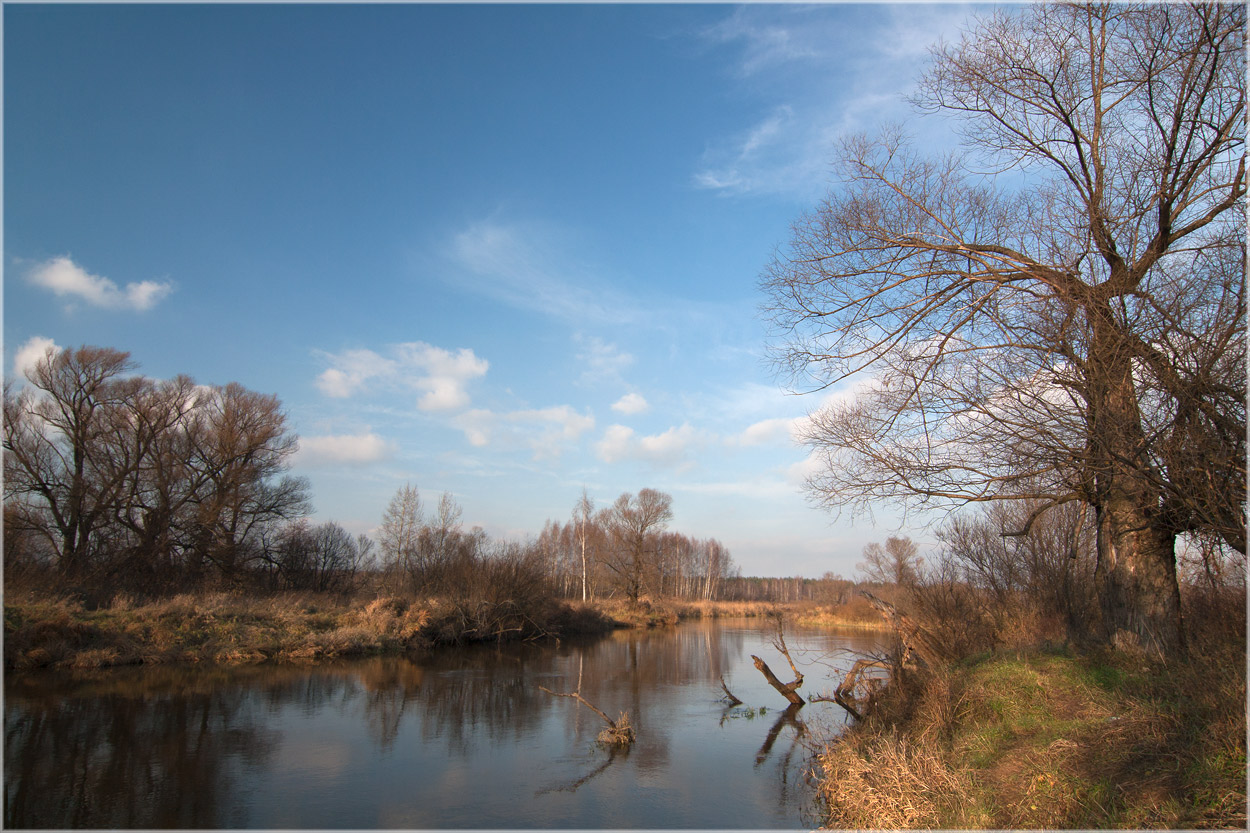 фото "Осенняя река" метки: пейзаж, природа, Шерна, осень, река