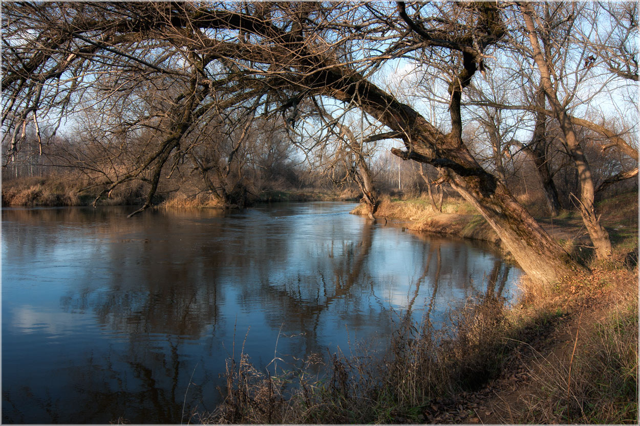 photo "***" tags: landscape, nature, autumn, river, Шерна