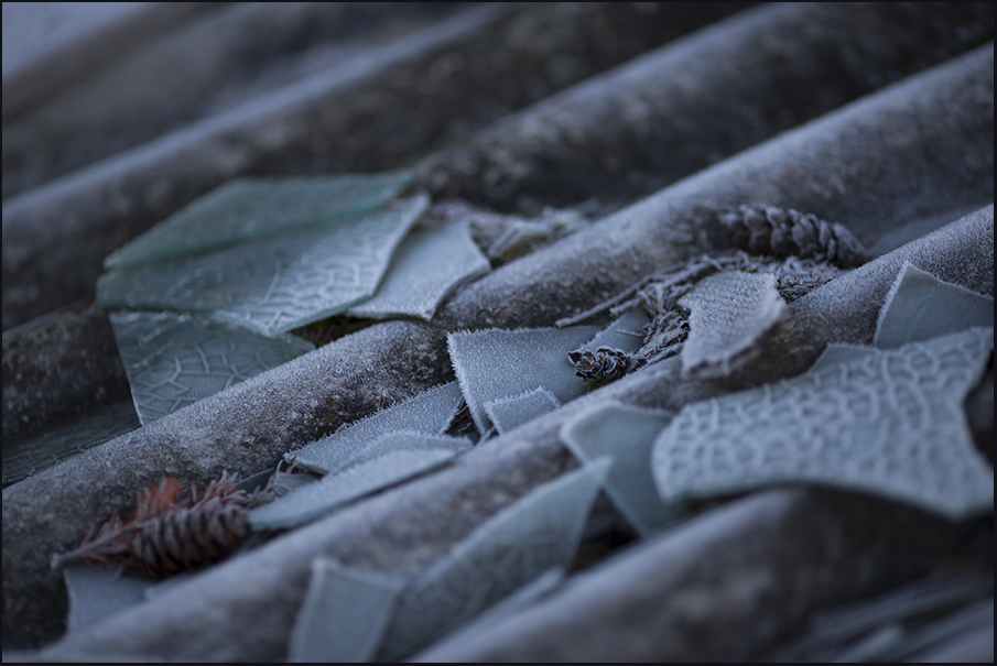 photo "***" tags: still life, macro and close-up, 