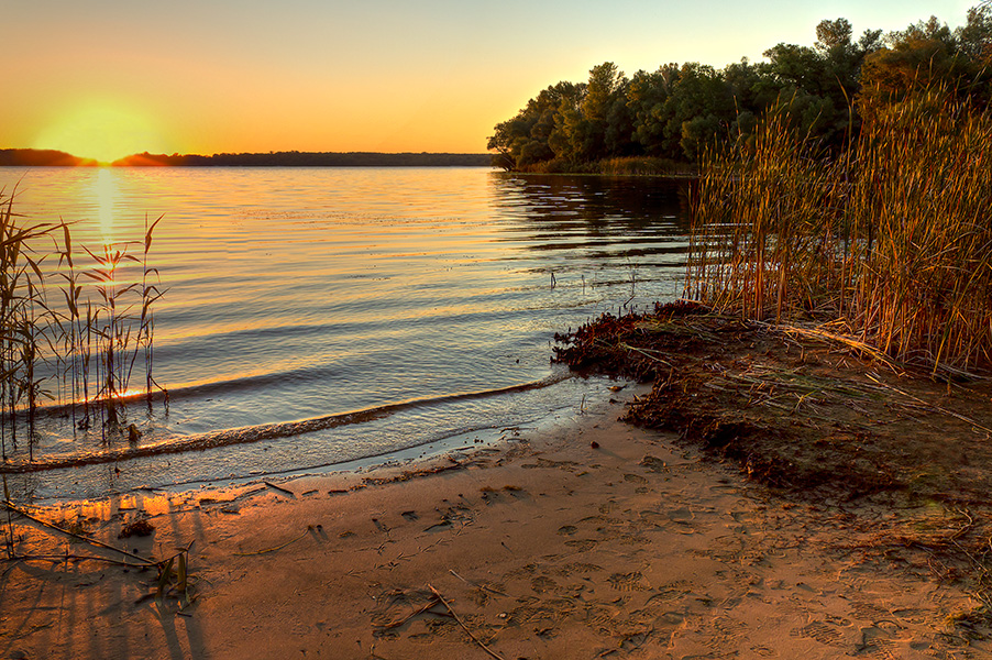 photo "***" tags: landscape, Dnieper, Ukraine, coast, gulf, sun, sunset, Запорожье, камыши