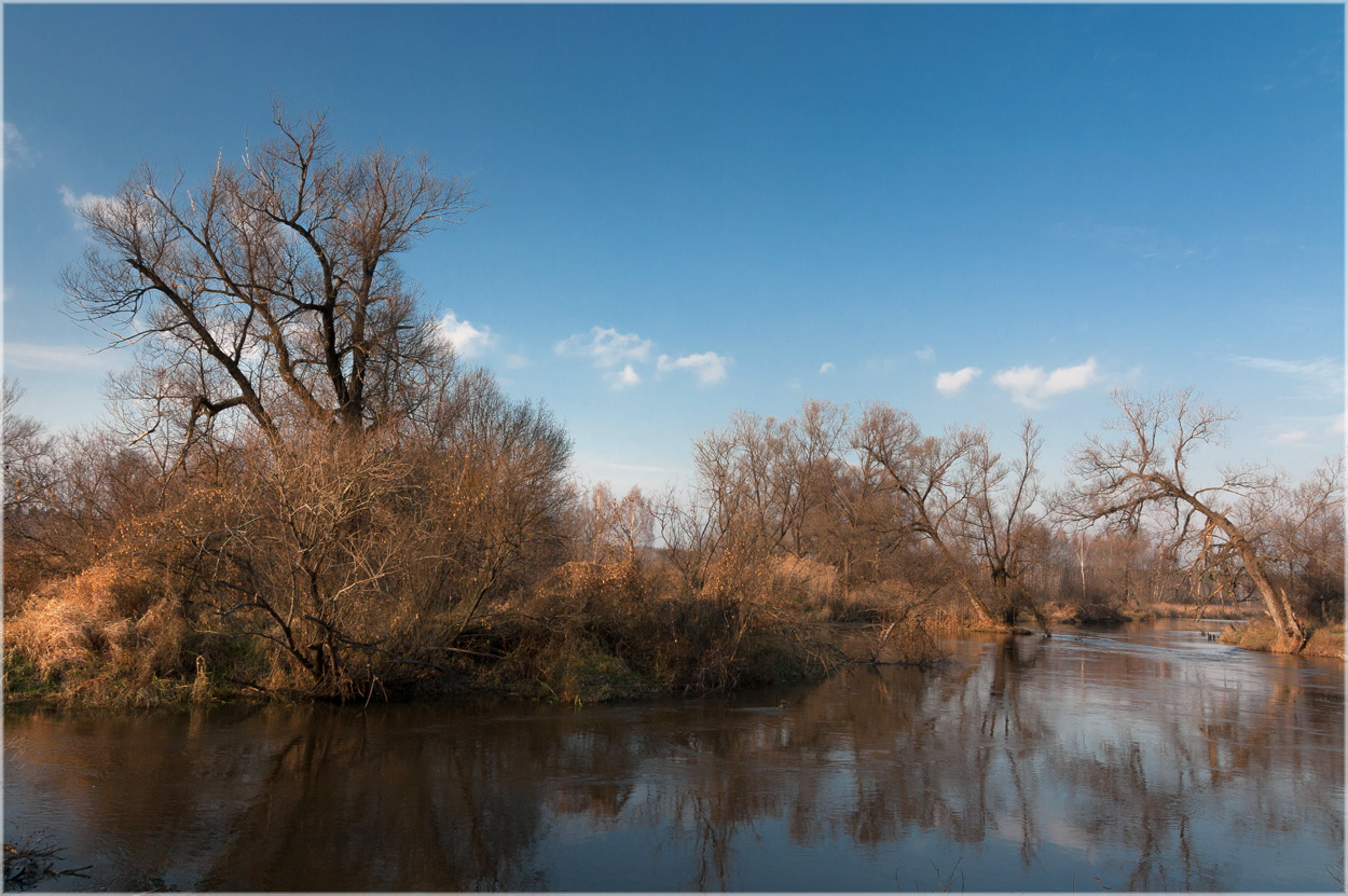 фото "Осенняя река 3" метки: пейзаж, Шерна, вода, осень, река