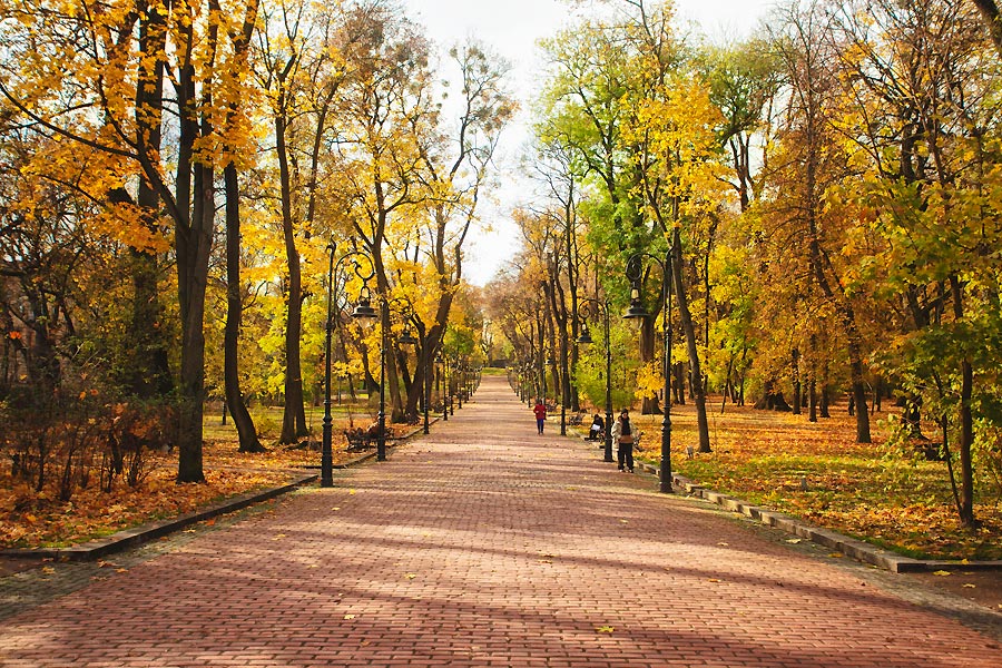 фото "Lvov 4989" метки: город, Photographer Alexander Tolchin