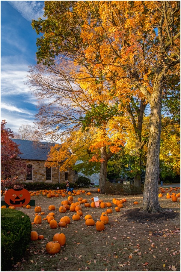 photo "pumpkins for sale" tags: landscape, autumn, clouds