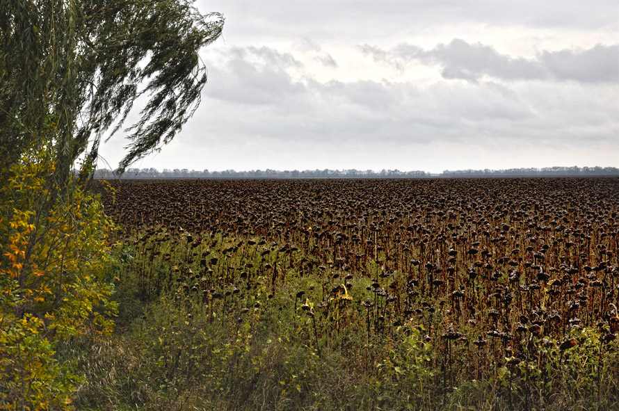 photo "***" tags: landscape, autumn