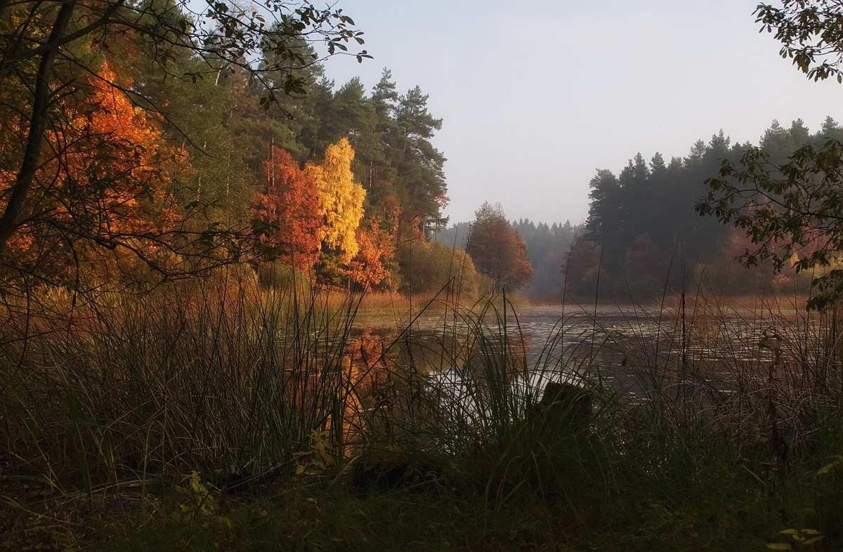 photo "Autumn colours" tags: , 