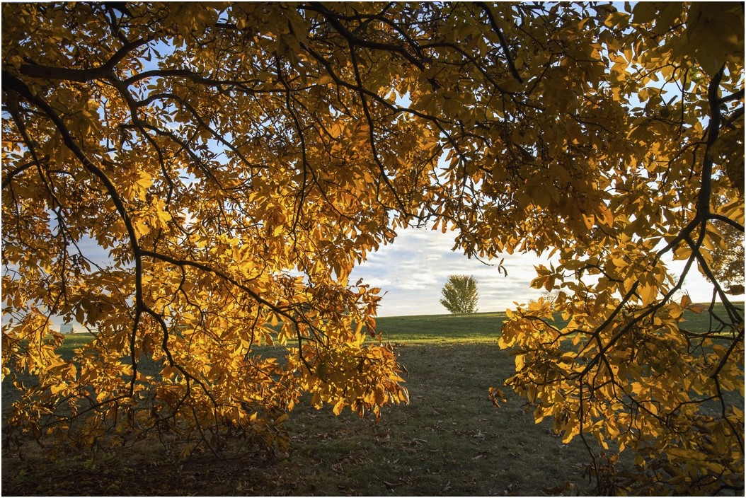 photo "framed by autumn" tags: landscape, nature, autumn