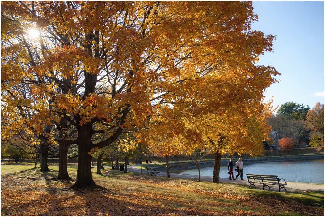 photo "sunny autumn day" tags: landscape, autumn, people, sun, water