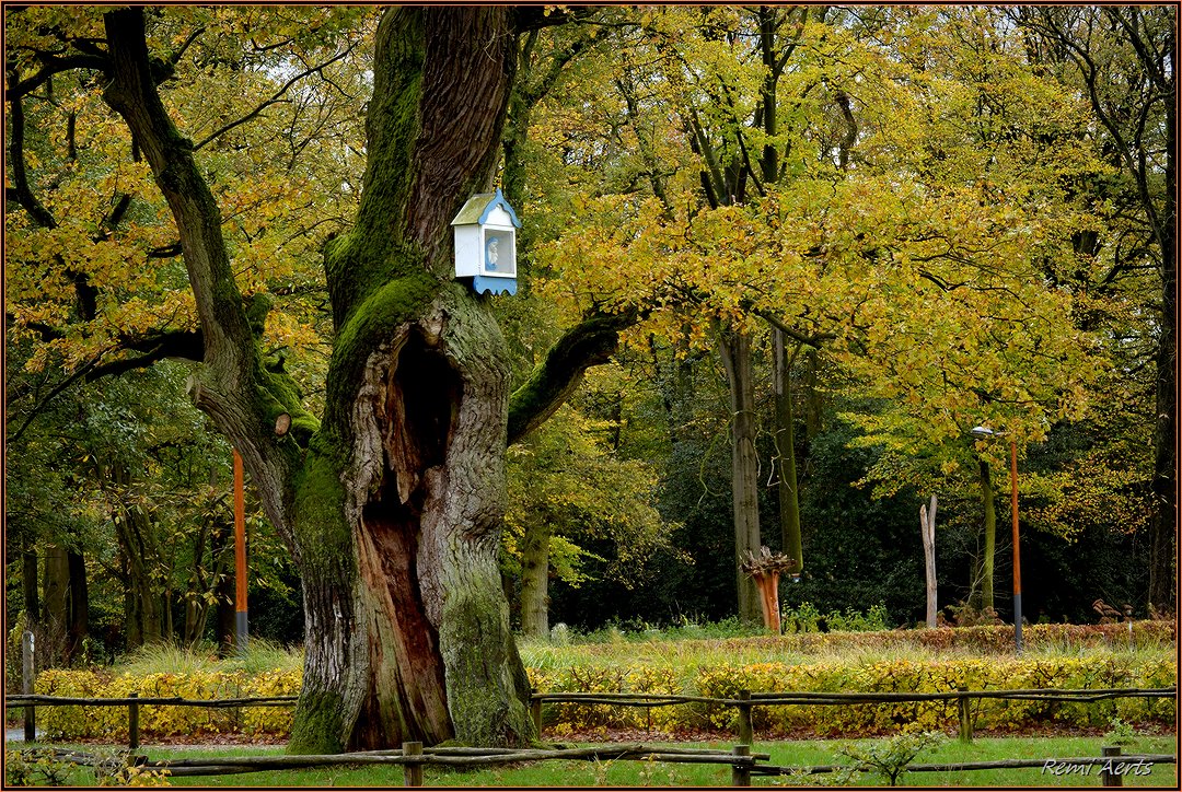 photo "***" tags: landscape, nature, street, 