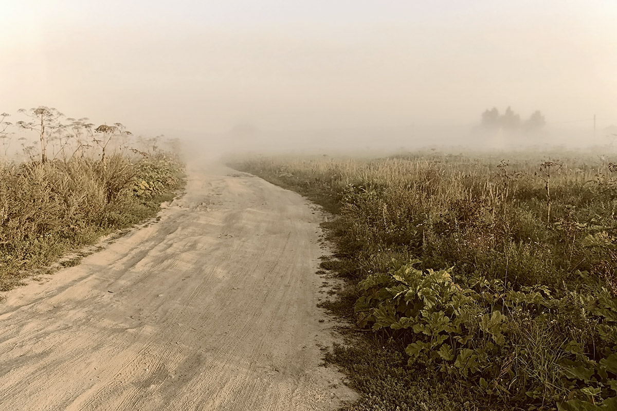 фото "Эх, дороги..." метки: пейзаж, дорога, туман, утро