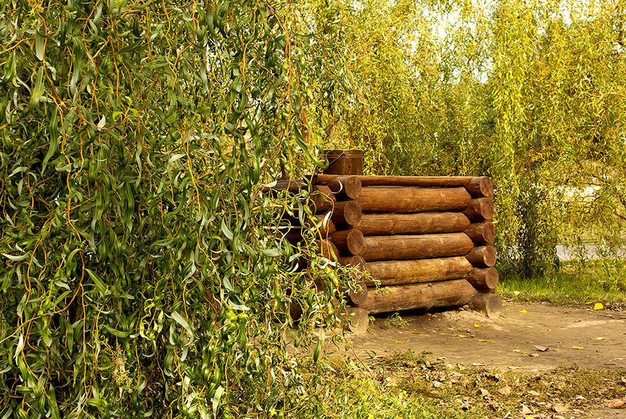 photo "***" tags: landscape, fragment, Ukraine, tree, Запорожье, колодец, октябрь