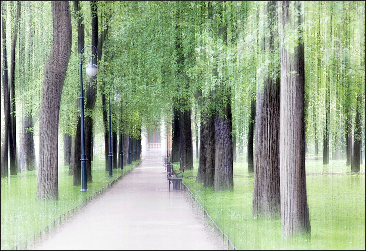 photo "Park" tags: city, digital art, 