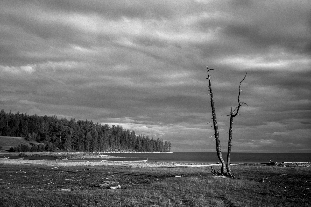 фото "Монголия-Прихубсугулье" метки: пейзаж, черно-белые, 