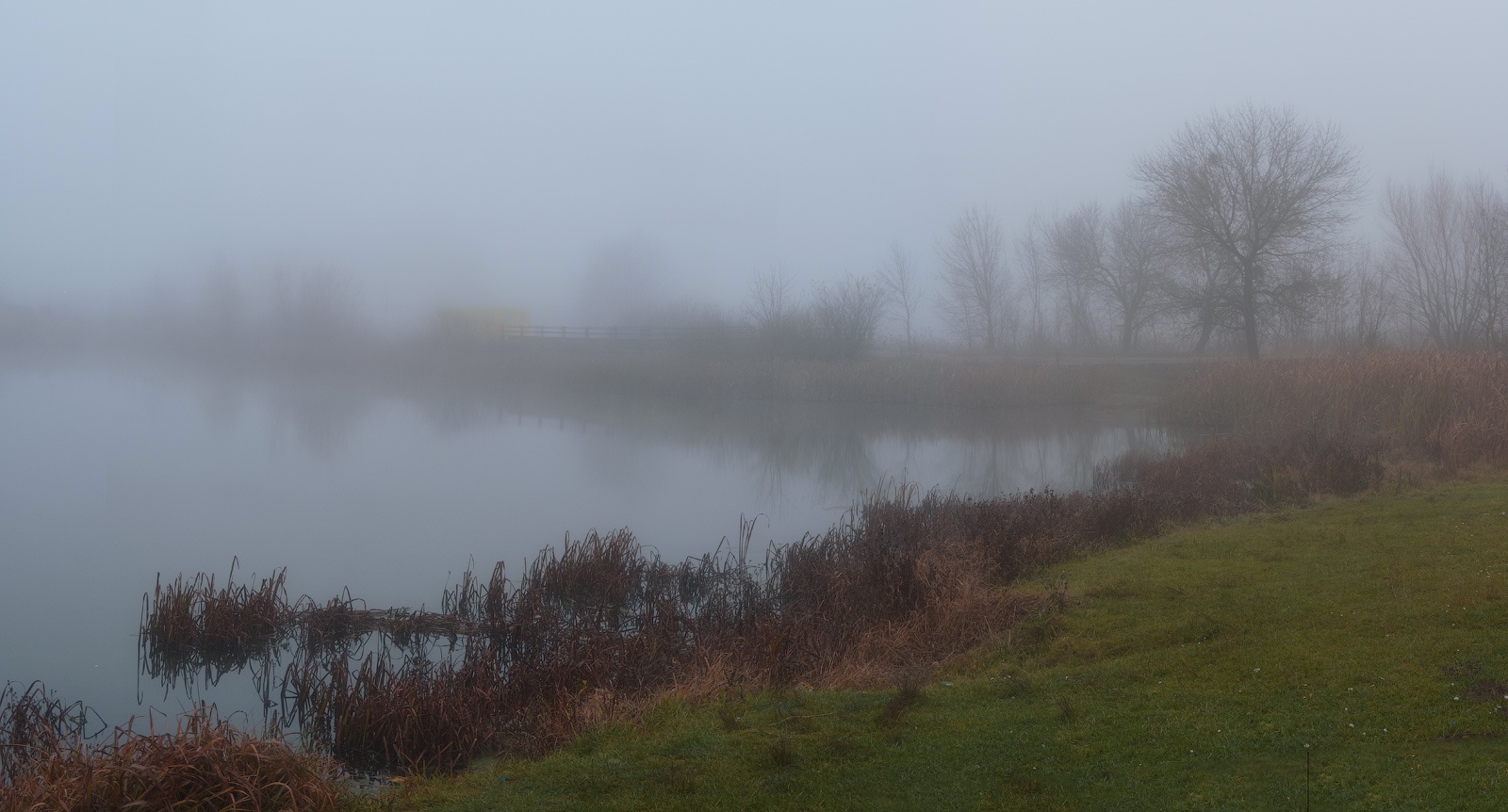 photo "About the fog ..." tags: landscape, nature, panoramic, coast, fog, water, деревья