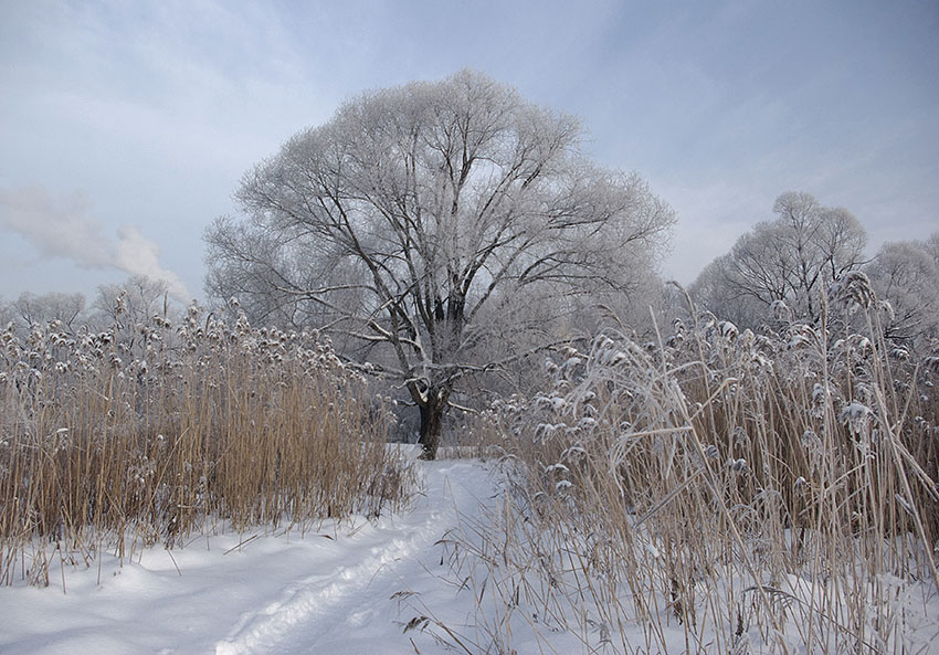 photo "***" tags: landscape, nature, 