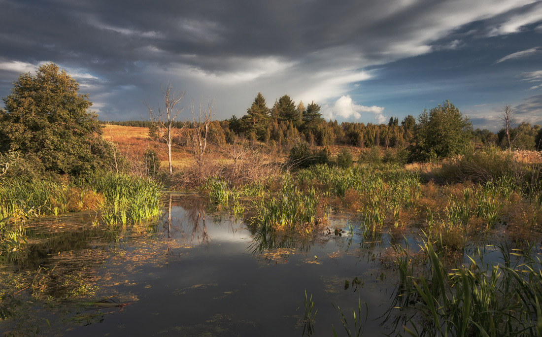 photo "***" tags: landscape, nature, clouds, forest, grass, lake, деревья