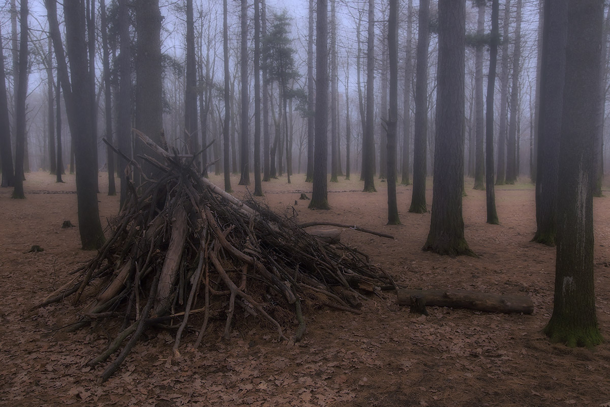 фото "Время раздумий..." метки: пейзаж, природа, лес, осень, тишина, туман