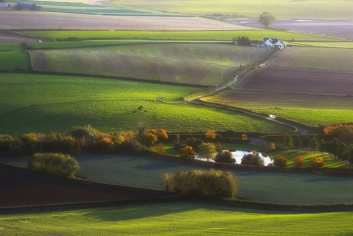 photo "Farmland" tags: landscape, 