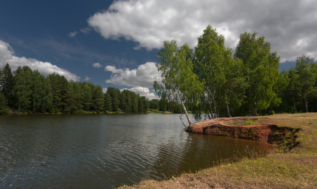 photo "***" tags: landscape, birches, clouds, forest, lake, summer