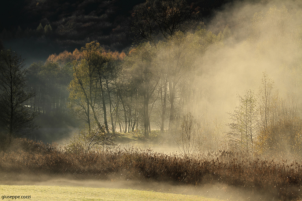 photo "lago di brinzio" tags: landscape, 