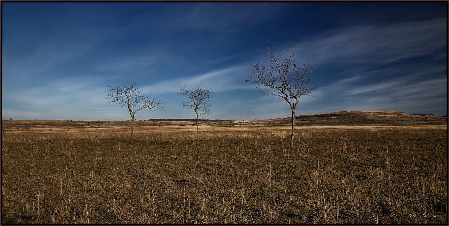 photo "***" tags: landscape, autumn, evening, грустно