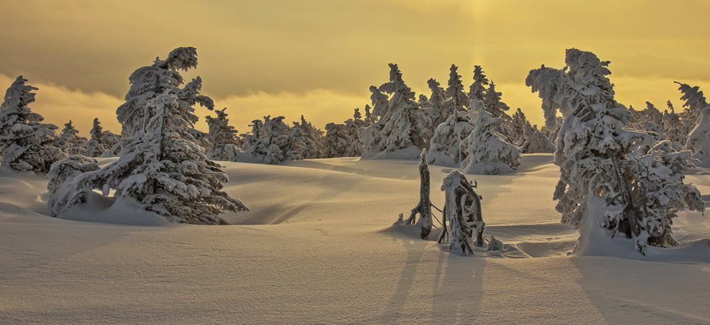 фото "***" метки: , 