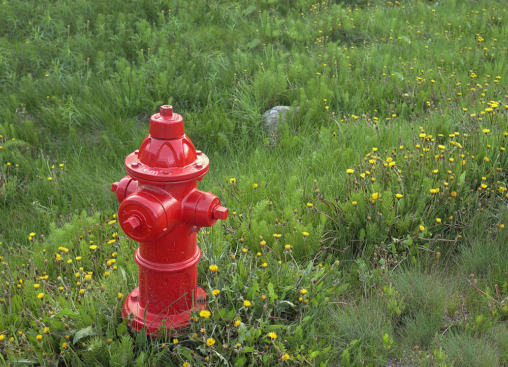 photo "***" tags: misc., 