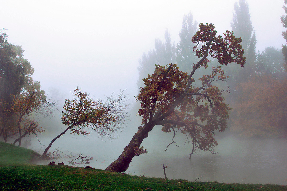 photo "***" tags: landscape, nature, fog, water